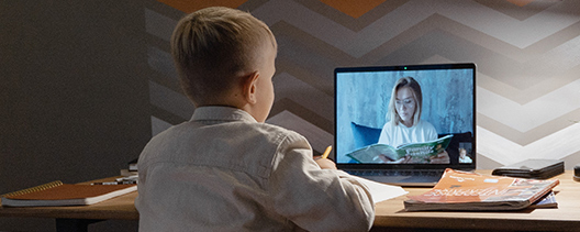 boy in virtual class